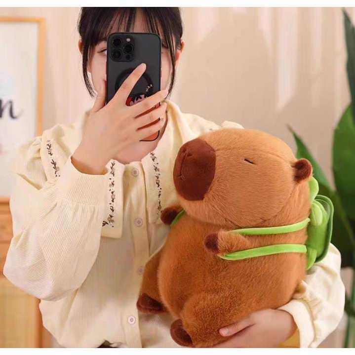 Boneka Bantal Capybara Boneka Capybara Kura Kura Bantal Capybara Lucu