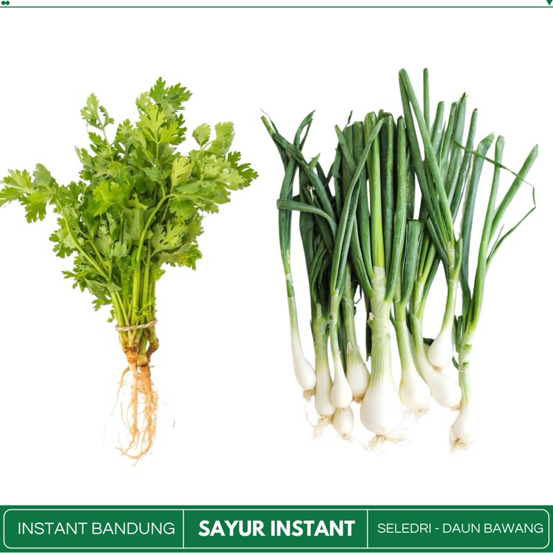 

DAUN BAWANG | SELEDRI - 1/4 Sayur Instant Fresh Bandung