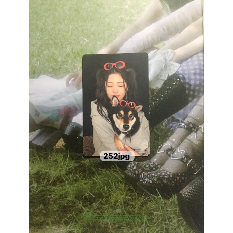 huh yunjin le sserafim weverse unforgiven official photocard yunjin guguk