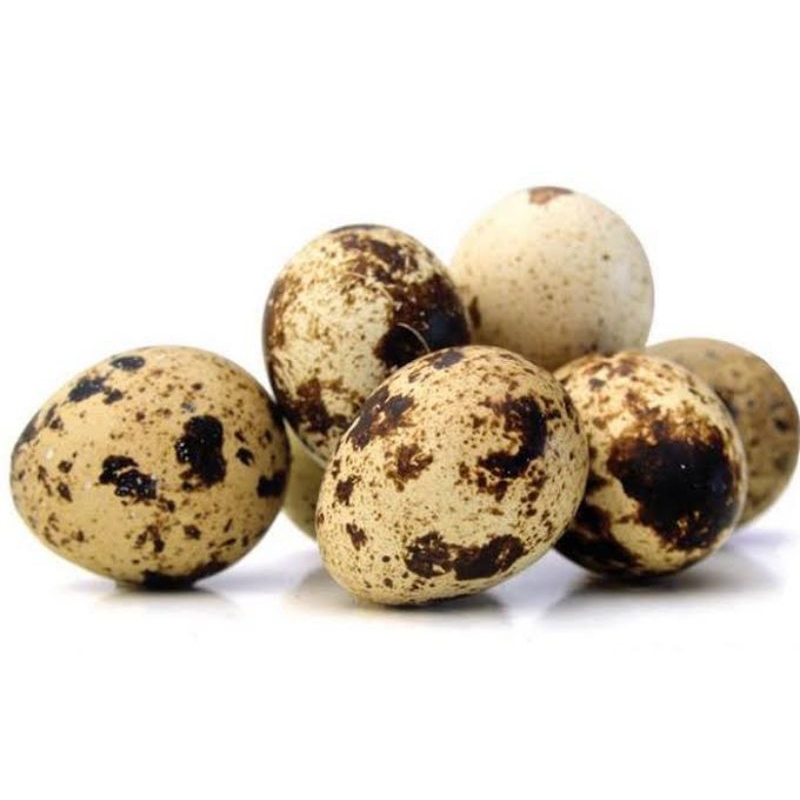 

Telur Puyuh Segar 6 Butir - Defa Fresh Market