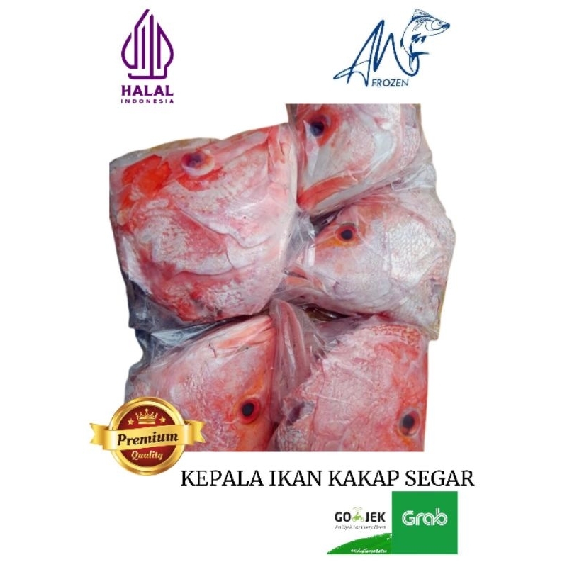 

KEPALA IKAN KAKAP MERAH SEGAR FROZEN