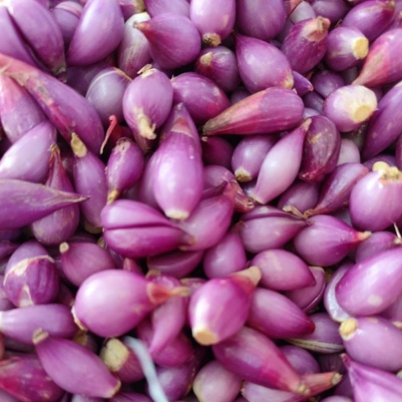 

Bawang Merah kupas Murmer