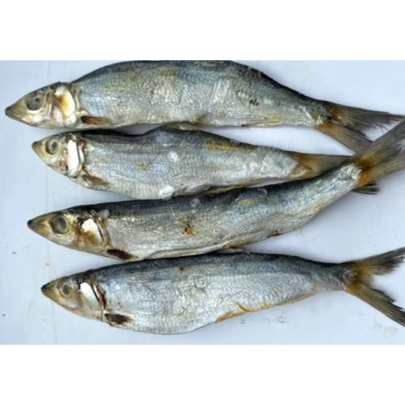 

ikan Asin Japuh Sarden 1kg