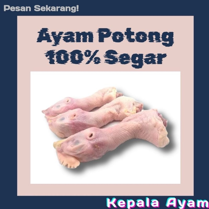 

Kepala Ayam panjang besar fresh / segar Bandung Cimahi