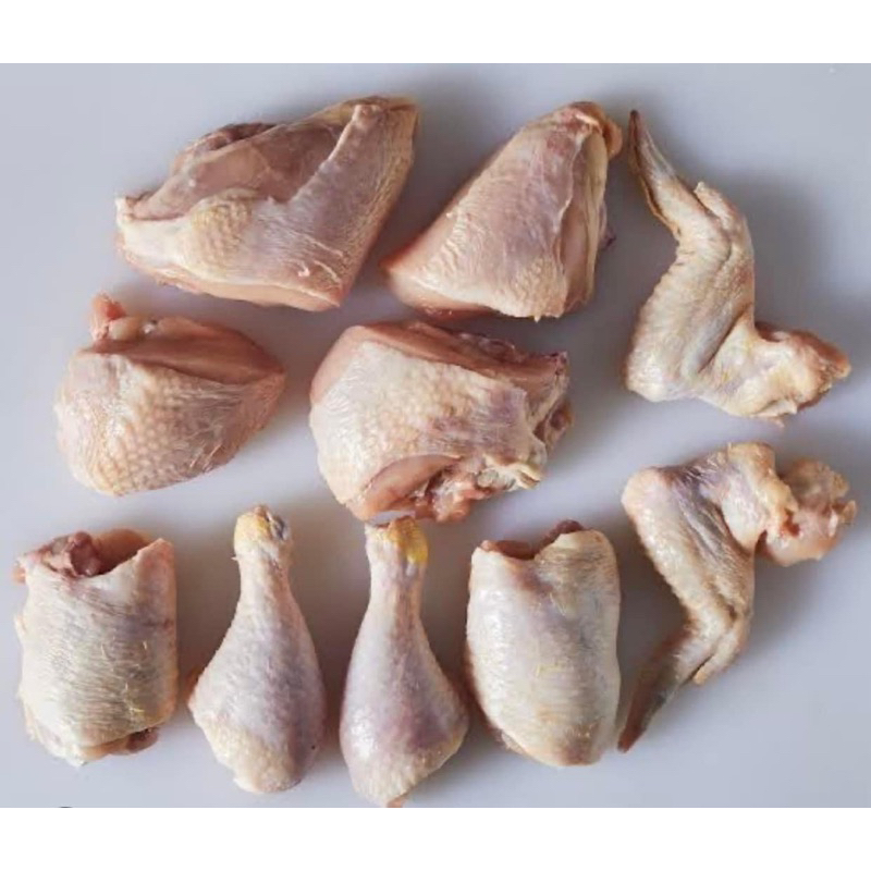 

ayam beku 1kg potong 10