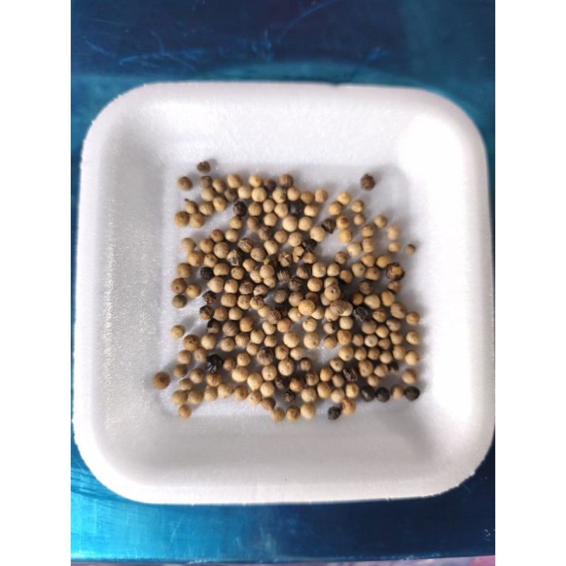 

Merica biji Lada Putih 10 Gram