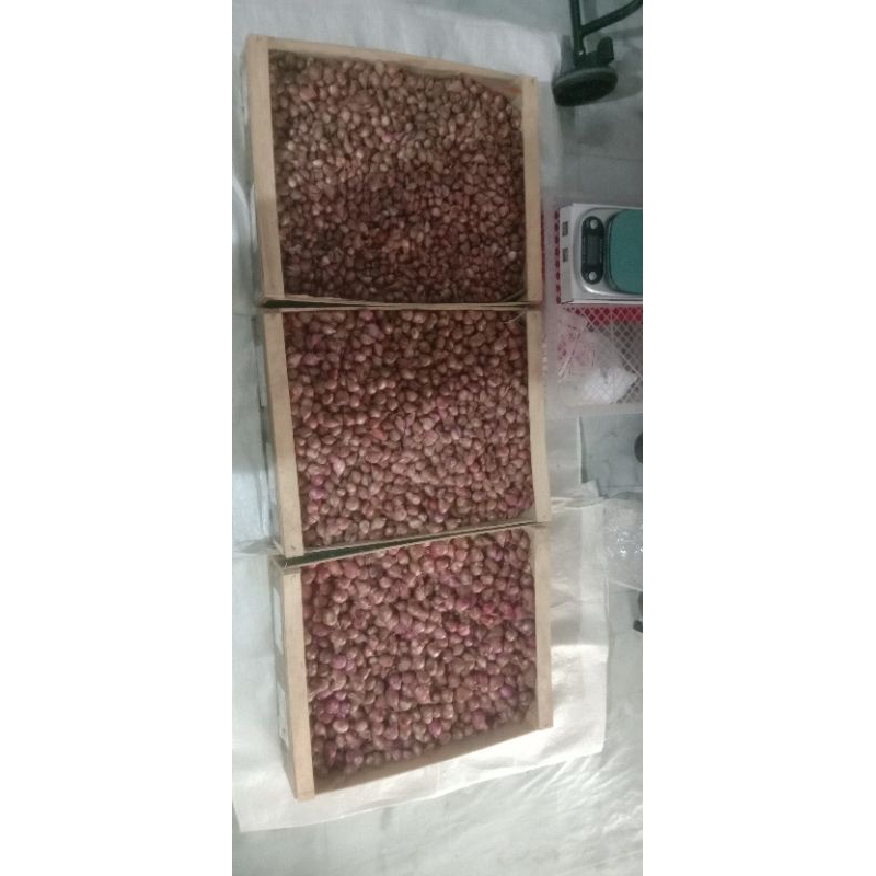 

bawang merag 1kg