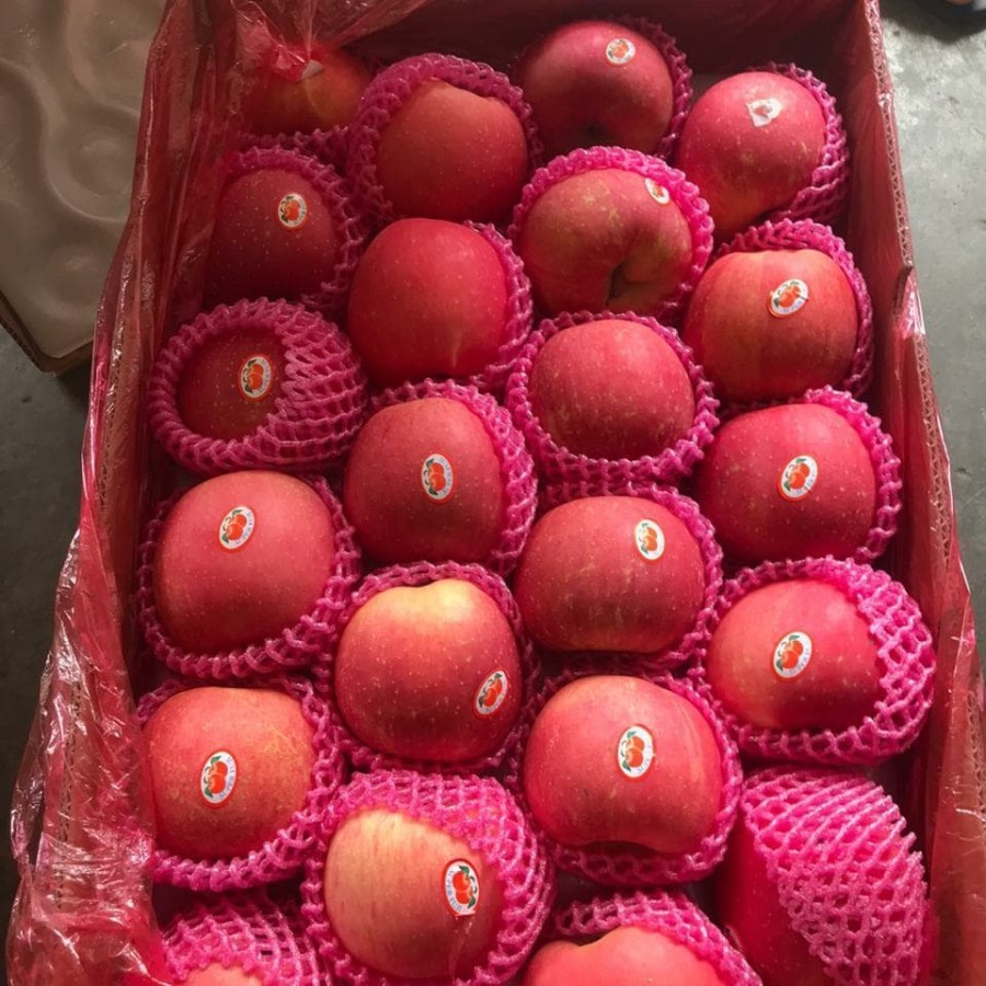 

Apel Fuji 125 (17 kg)