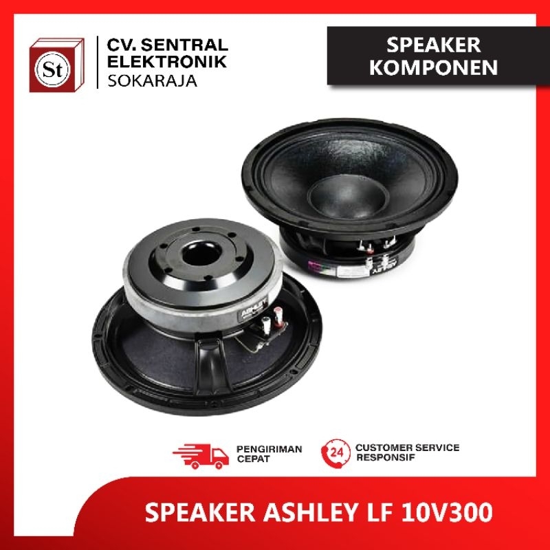 SPEAKER ASHLEY 10V300