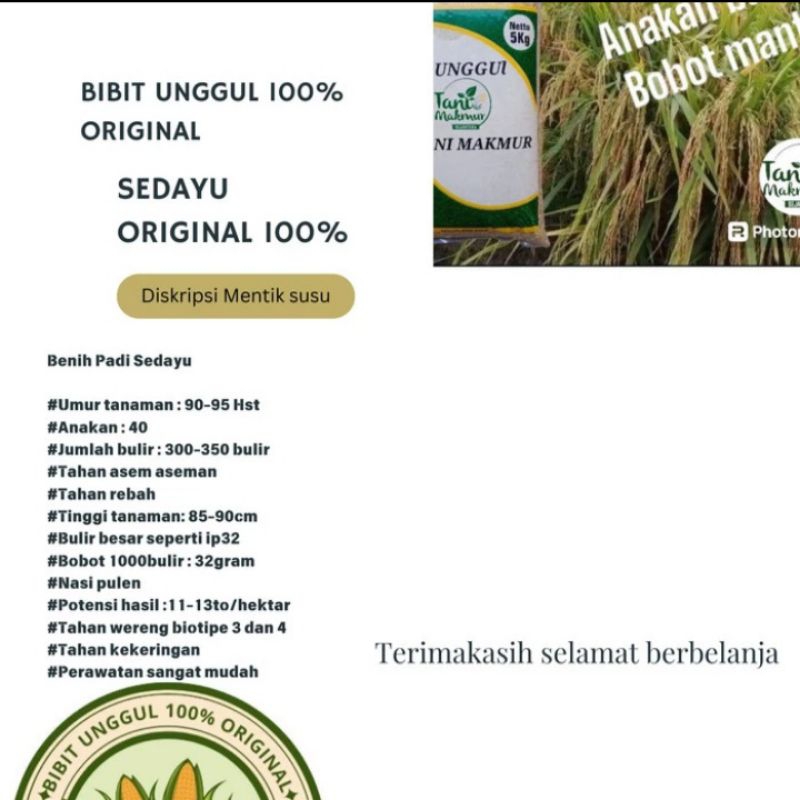 Bibit Padi Sedayu Unggul 1kg