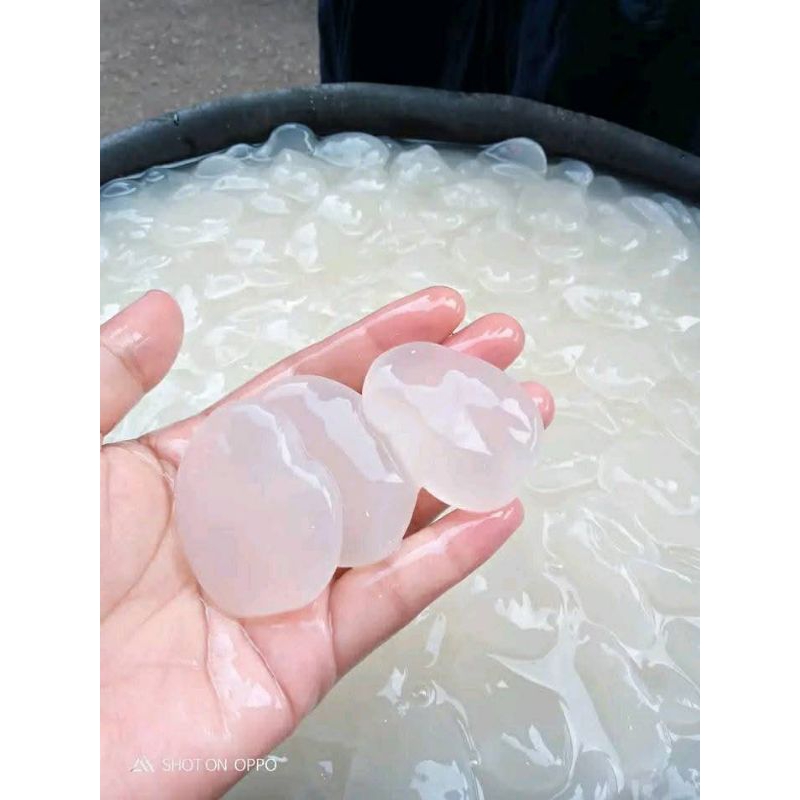 

KOLANG KALING SEGAR FRESH EMPUK DAN KENYAL 1KG BISA COD