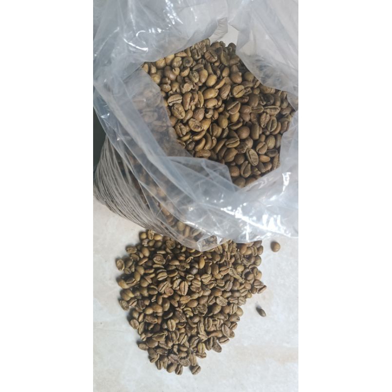 

BIJI KOPI LIBERIKA ORIGINAL (GREENBEAN/ BIJI KOPI MENTAH) KHAS KAB. KEP-MERANTI 100gr