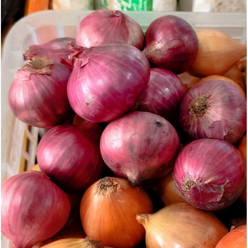 

Bawang Merah Pakistan