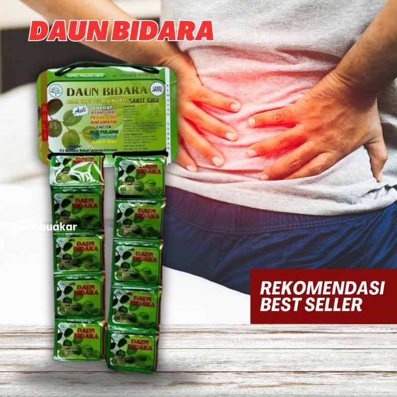 

Daun Bidara Kapsul Herbal Asam Urat Pegal Linu