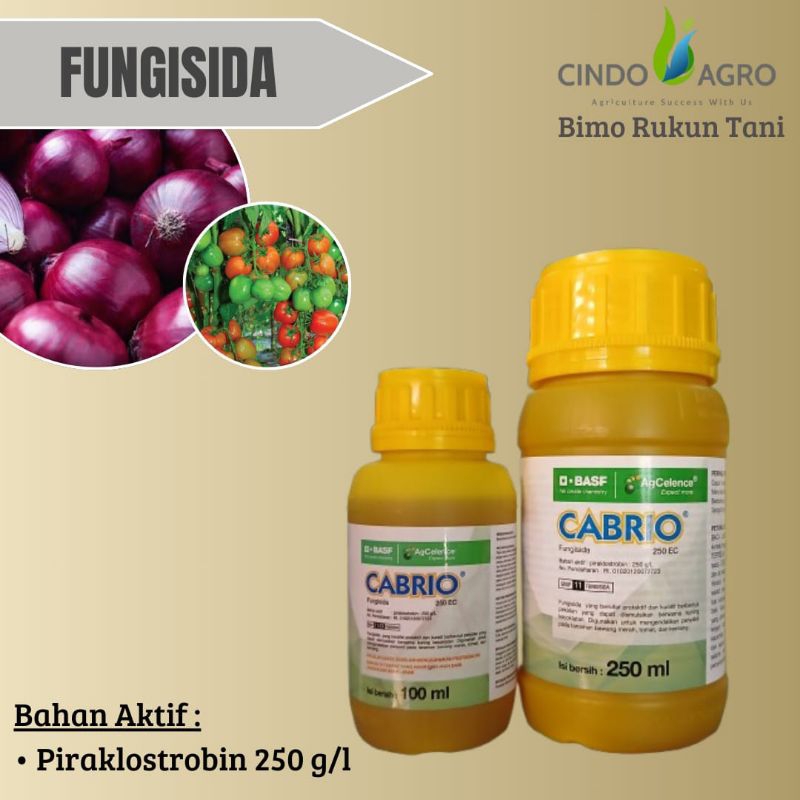 Fungisida Cabrio 250 EC