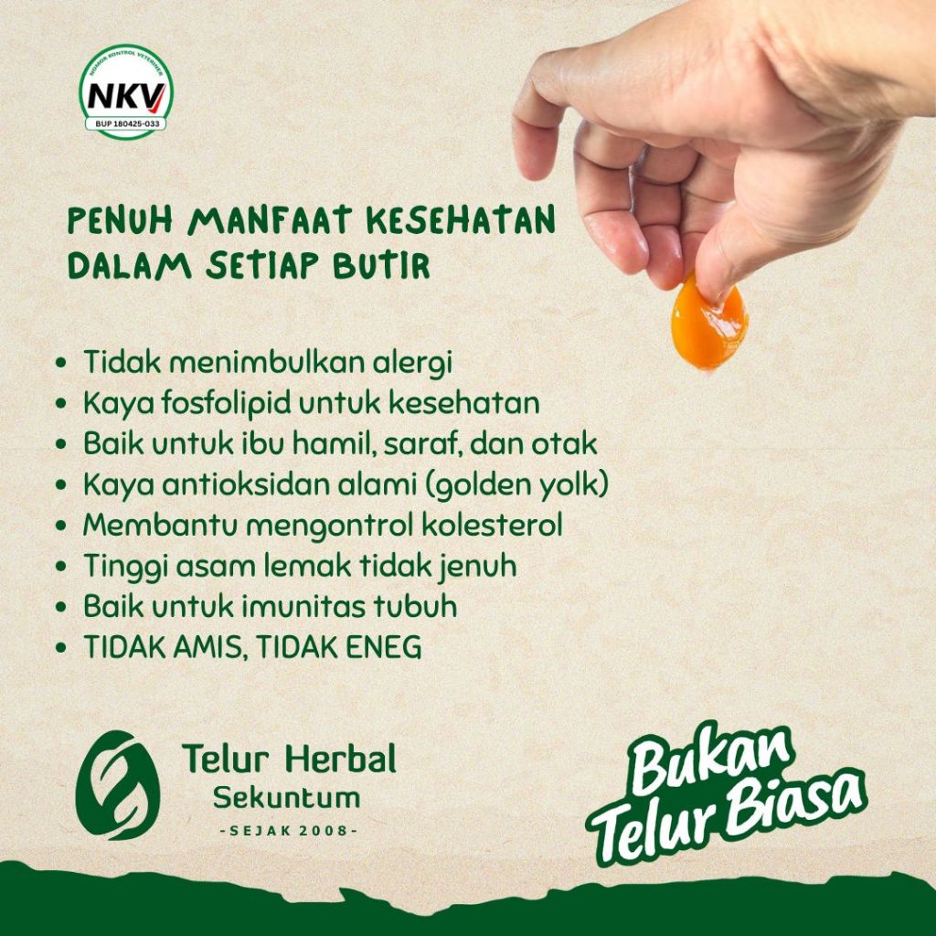

Telur Herbal Sekuntum (30 Butir) Besar & Kecil - Telor Ayam Anti Alergi Omega 3 6 9 Bebas Antibiotik