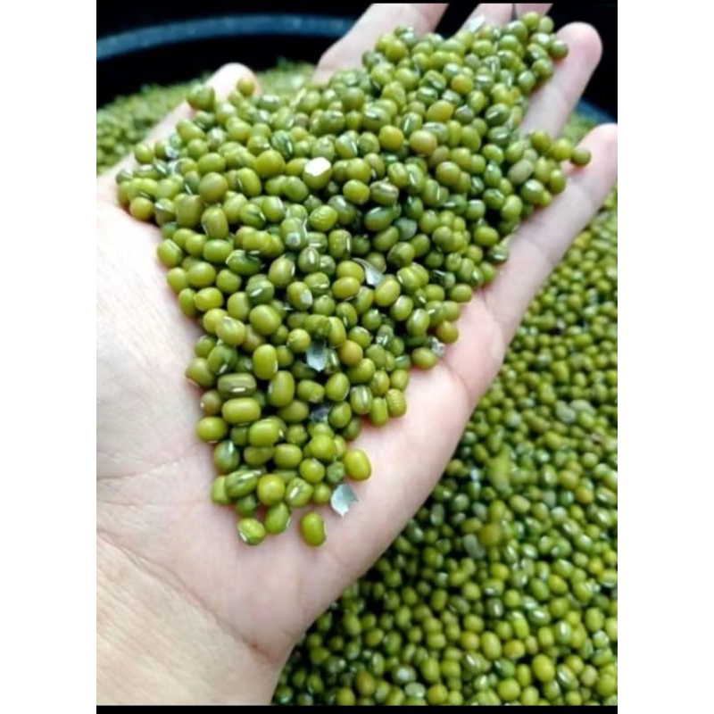 

kacang ijo mentah kwalitas super 500 gram & 1 kg