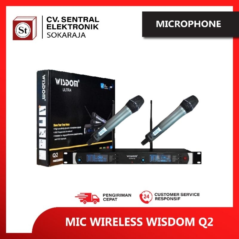 MIC WIRELESS WISDOM Q2