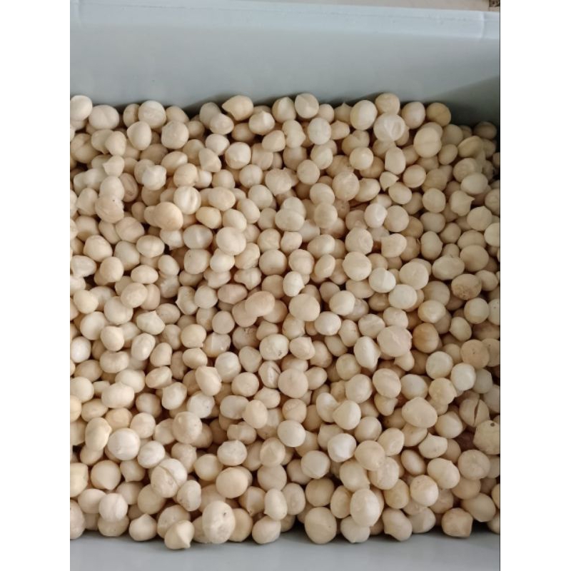 

Kacang Makadamia Kupas Utuh (mentah)