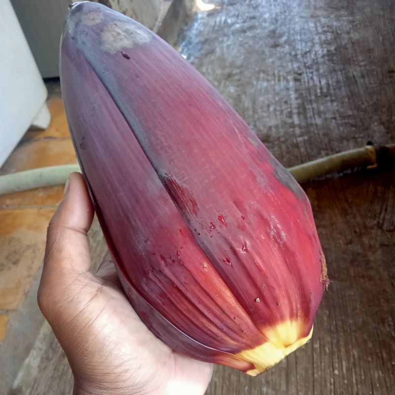 

Jantung pisang olahan sayur (1kg/ kemasan)