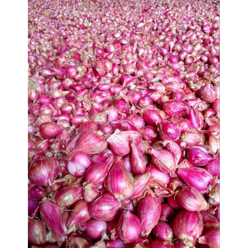 

Bawang merah murah 1 kg berkualitas|bumbu masak