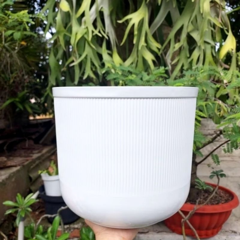 Pot Tabung ukuran 20cm