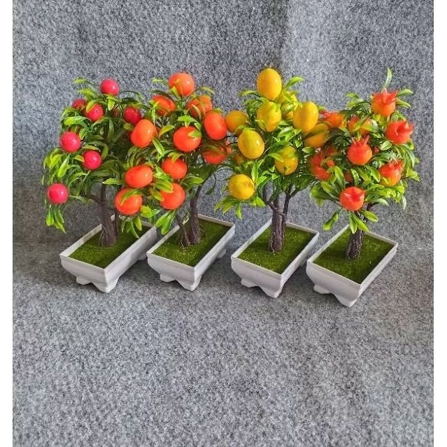 BUNGA HIAS PALSU - TANAMAN HIAS BUAH PALSU