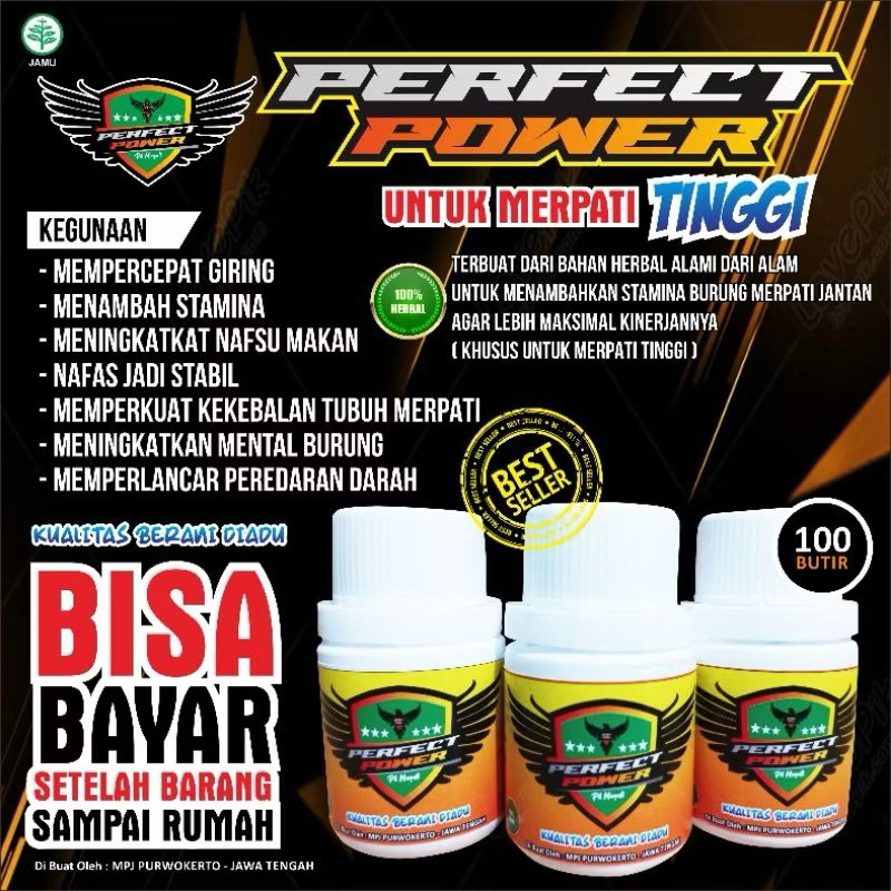 Jamu Merpati Tinggi PERFECT POWER ORIGINAL