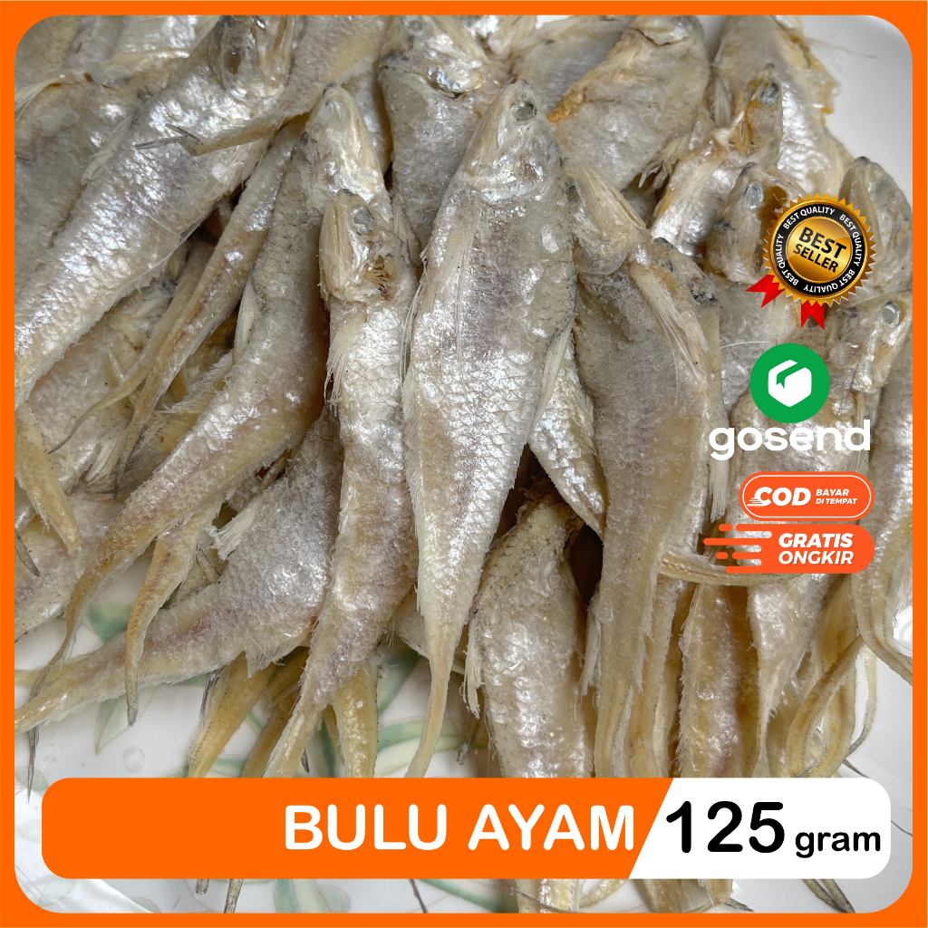 

Ikan Asin Bulu Ayam Kering Super Premium Packing Plastik Vakum Seal