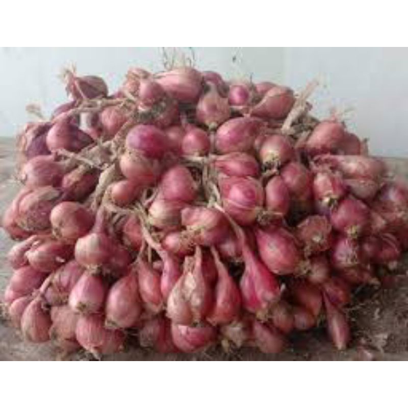 

Bawang Merah Sumenep 500gr & 1kg Bawang Sumenep Bawang Merah Bumbu Masak