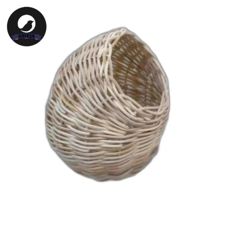 Gowok burung jumbo sarang ternak