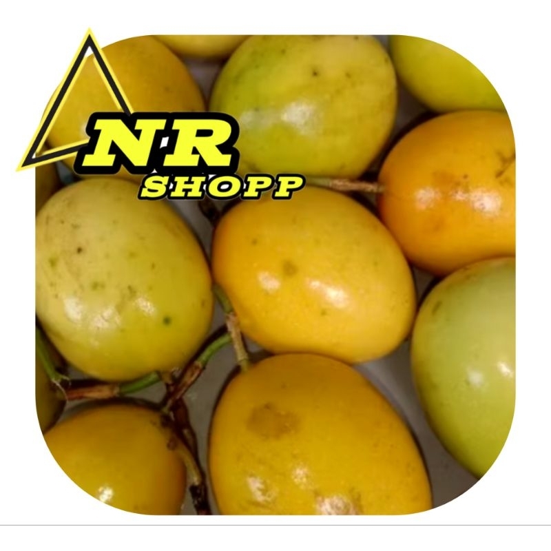

Jual buah markisa kuning buah konyal segar 500g