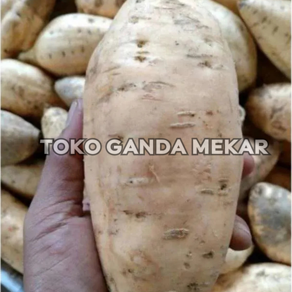 

UBI UNGU/PUTIH KUNINGAN 1 KG MURAAH!!