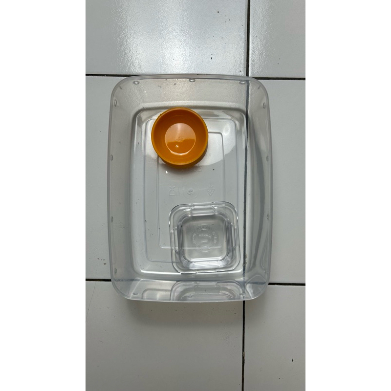 SETUP LENGKAP KANDANG LEOPARD GECKO