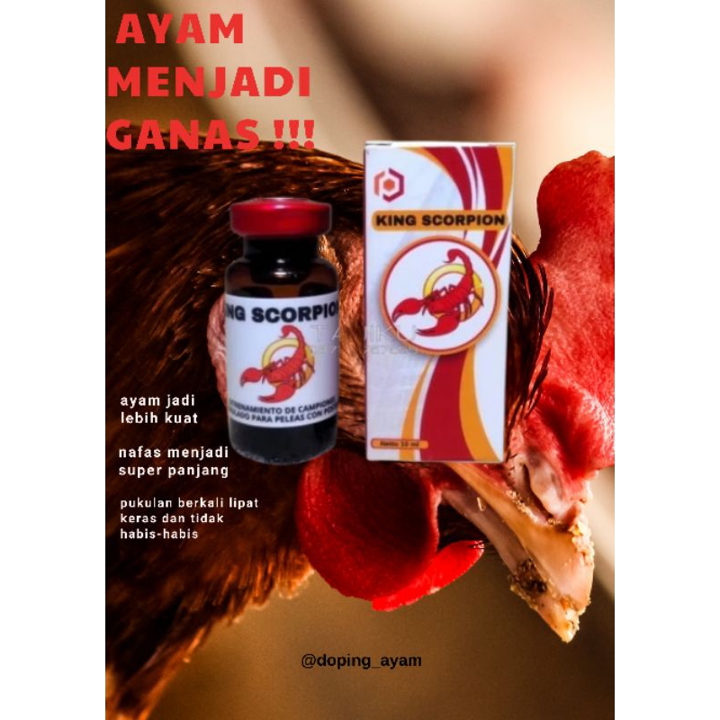 PROMO OBAT DOPING AYAM ADUAN AYAM KING SCORPION TERBAIK