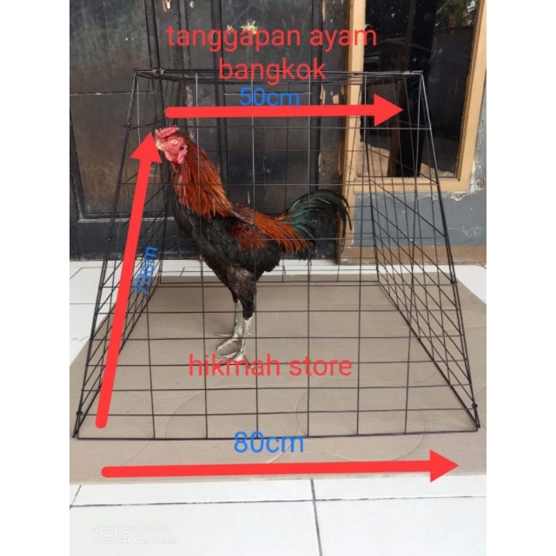 kandang/ tanggaean  ayam model piramida .