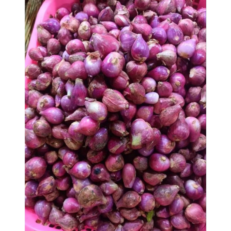

bawang merah segar 500gr