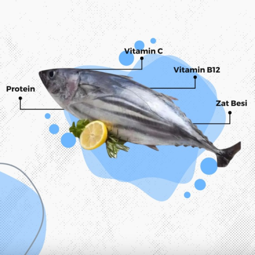 

RB IKAN CAKALANG FROZEN UTUH 1 KG SEGAR I KEMASAN VACUMM
