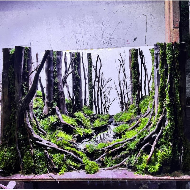 hardscape jungle buat tank 60.35.40.cm udh siap pakai