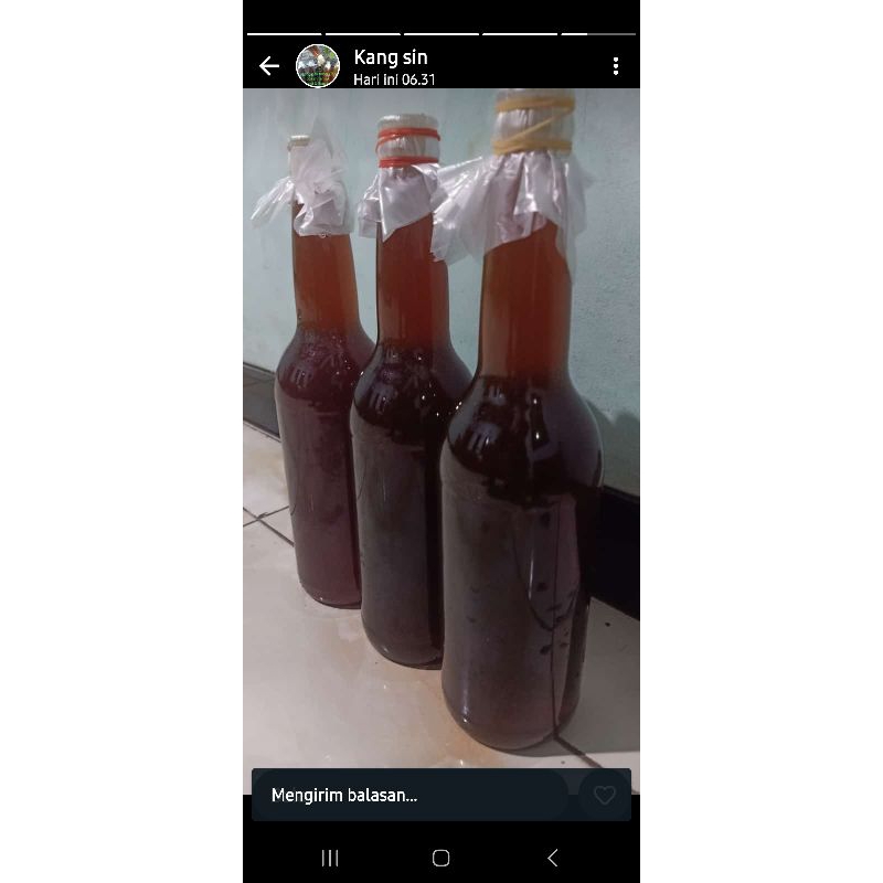 madu tawon liar jaminan asli