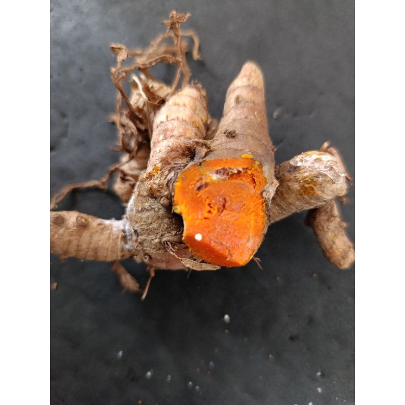 

kunyit500 gram.darikebunsendiri.