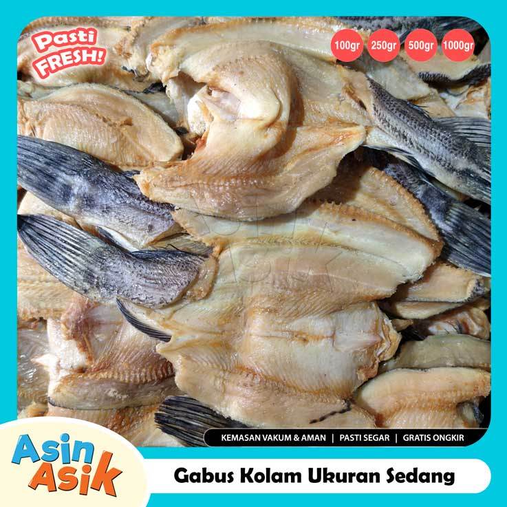 

Ikan Asin Gabus Kolam Ukuran Sedang Premium Kualitas Super Segar Fresh