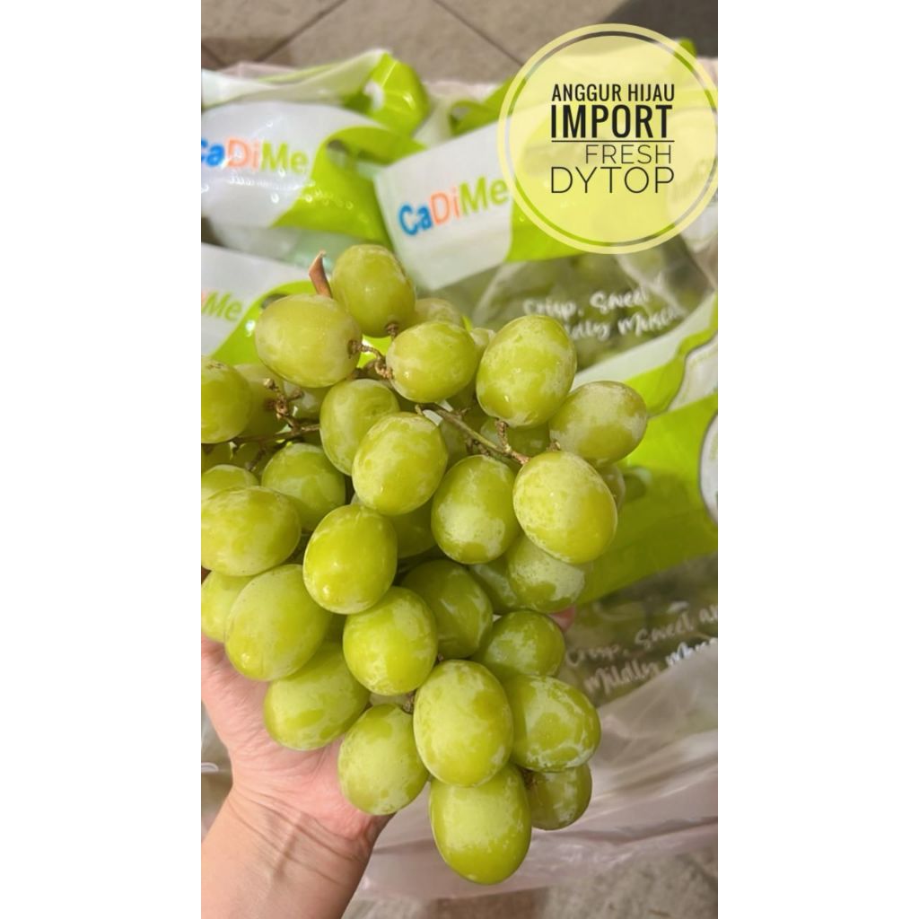 

Buah Anggur Hijau USA Import Fresh Manis Garing Seedless