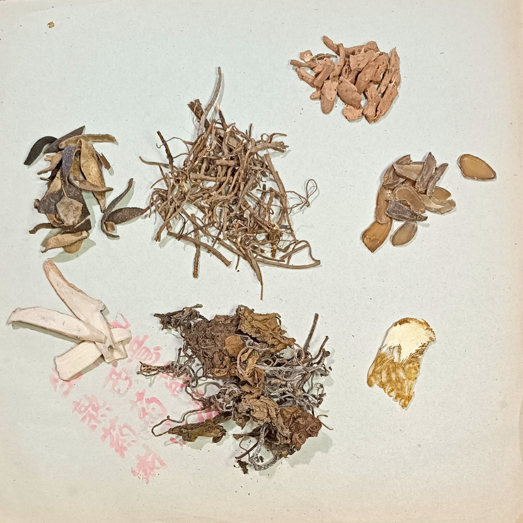 

Ramuan Herbal untuk Kanker Payudara / Tumor Payudara / Benjolan di Payudara