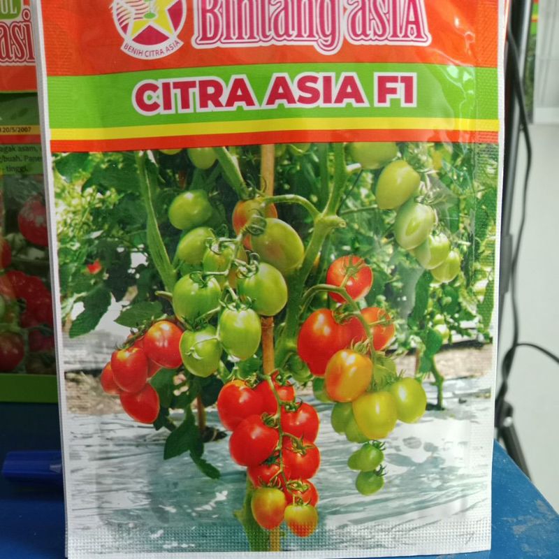 Benih Biji Tomat Buah CITRA ASIA F1 Cap Bintang Asia Kemasan 5gr PT. BENIH CITRA ASIA