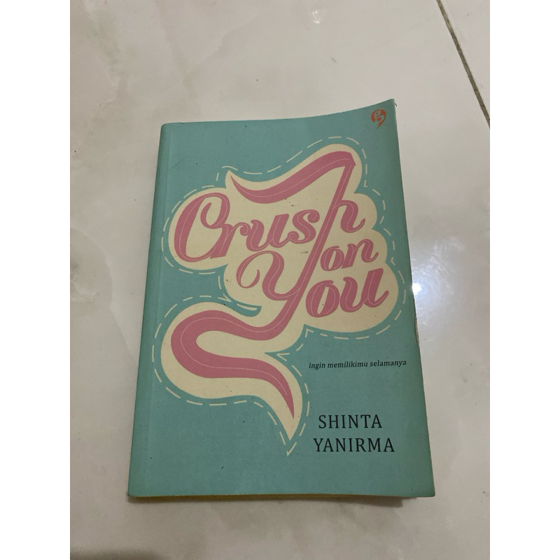 Novel Crush On You