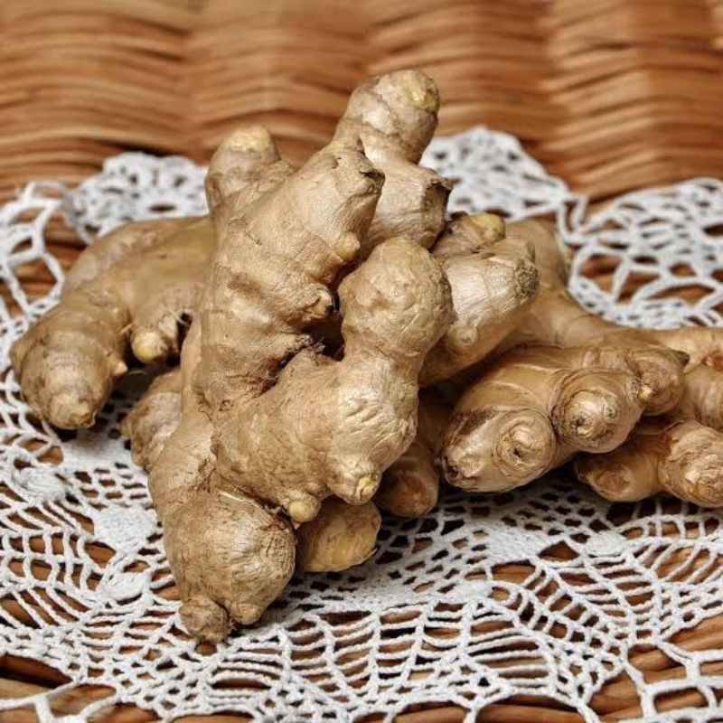 

Jahe Putih Bumbu Masakan Jauh Lebih Enak 100 Gram