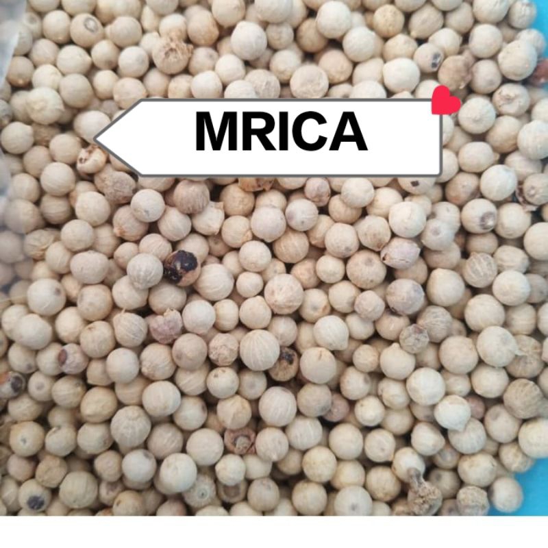 

MRICA/BUMBU DAPUR MRICA SASET TERMURAH