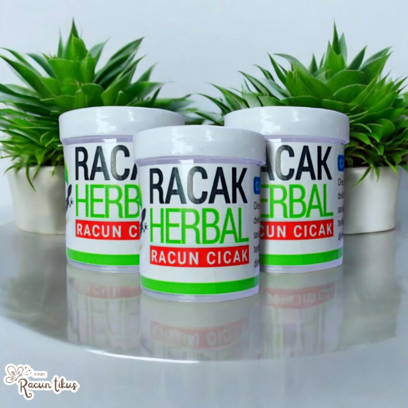 RACUN CICAK HERBAL ORIGINAL RACUN CICAK PALING AMPUH RACAK HERBAL