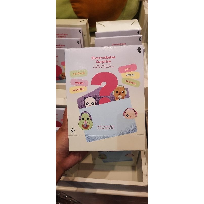 

STATIONERY KIT SURPRISE